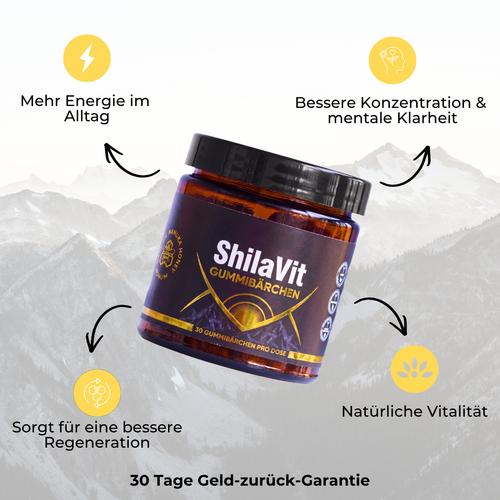 ShilaVit Energy