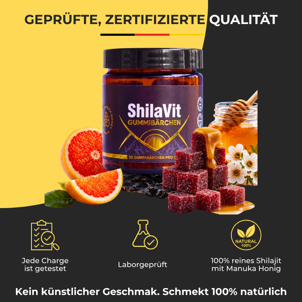 ShilaVit Energy