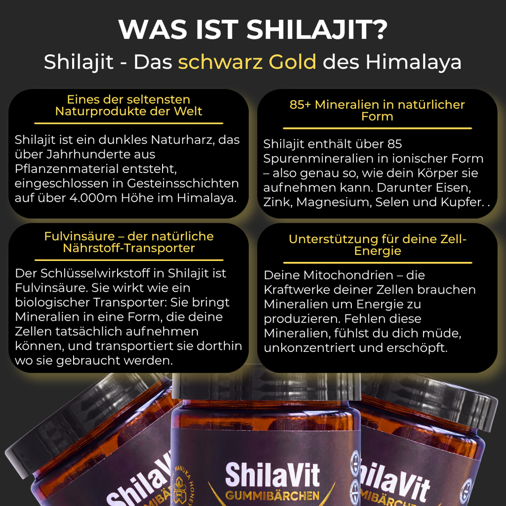 ShilaVit Energy